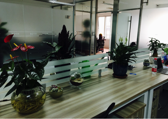 图片9.png 图片9.png