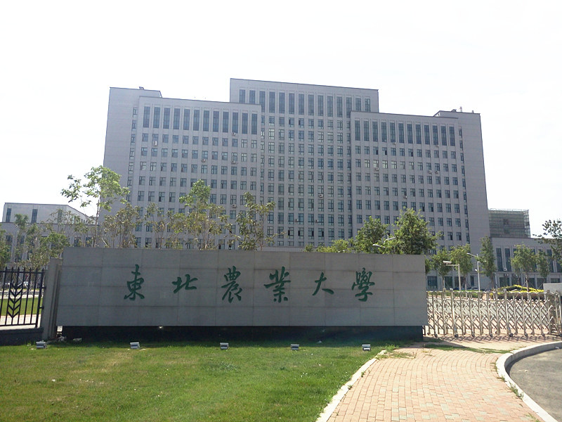 东北农业大学_副本_副本.jpg 东北农业大学_副本_副本.jpg